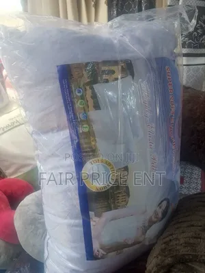Pair of Elegant Micro Fiber Pillows. Large. ( White)