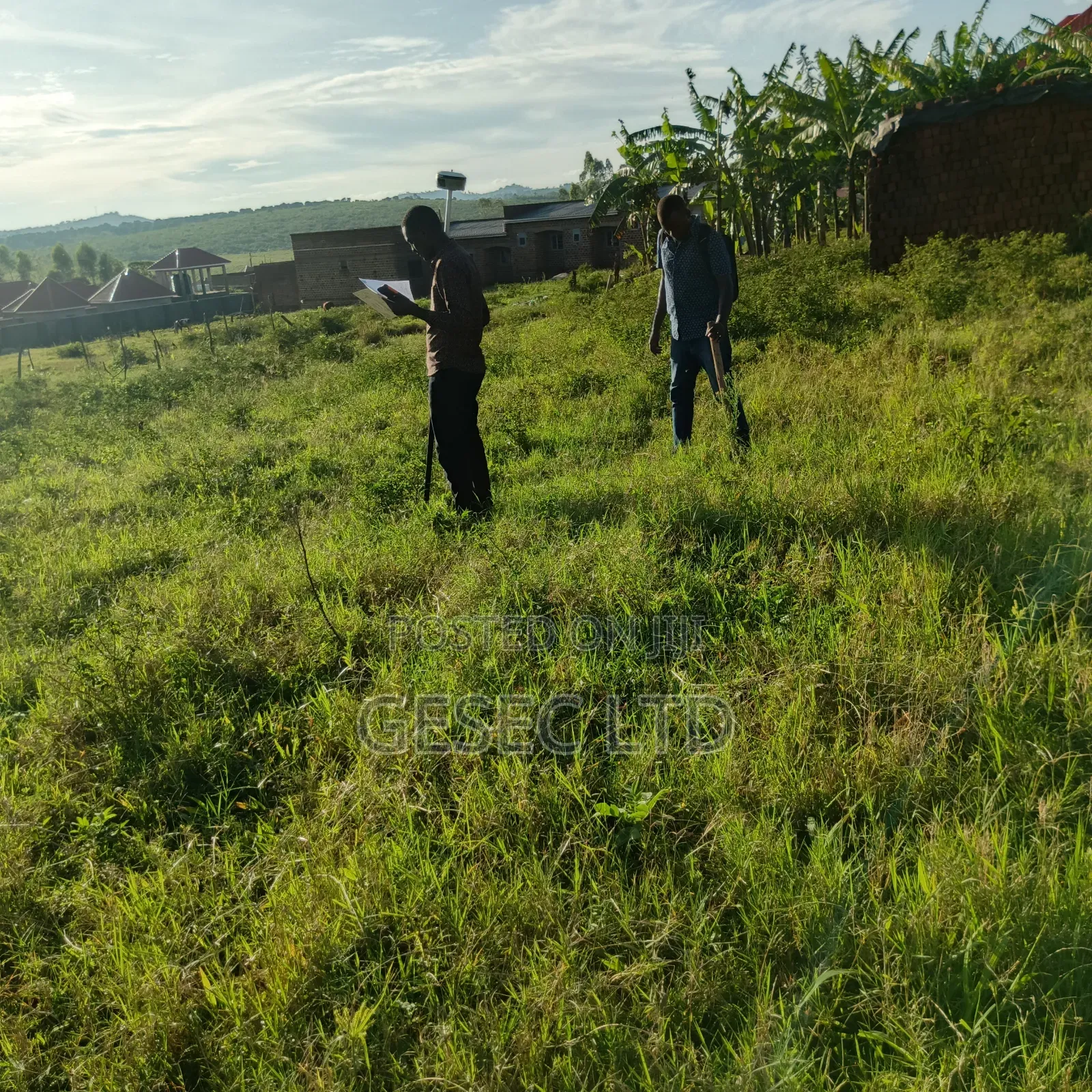 Land Surveyor