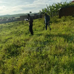 Land Surveyor