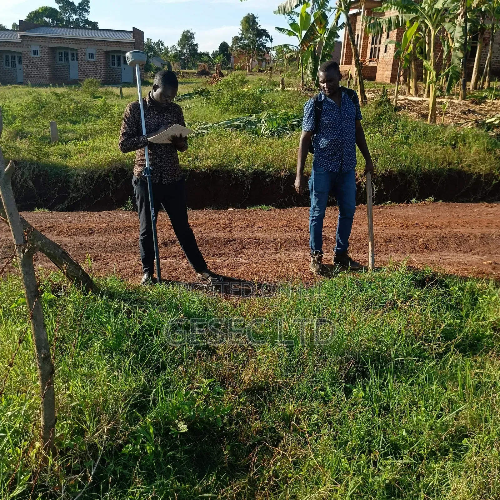 Land Surveyor