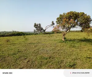 23.7 Acres for Sell in Rwakitura,Kiruhura District