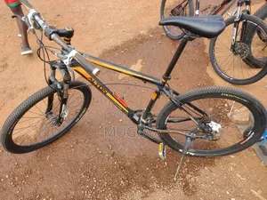 Photo - Adults Bicycles