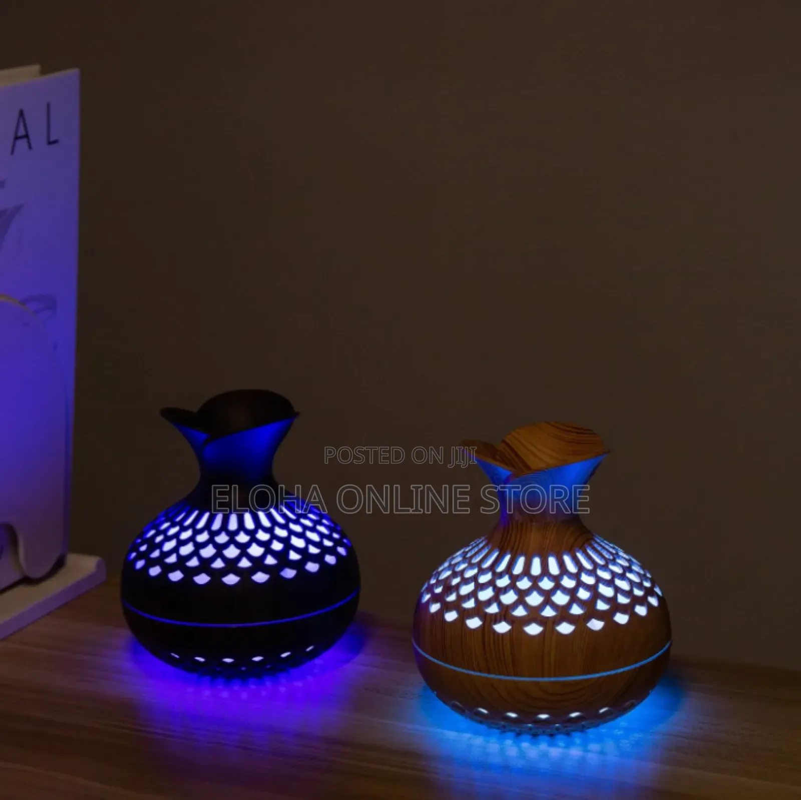 Portable Aromatherapy Humidifier Auto Shut-Off Super Quiet