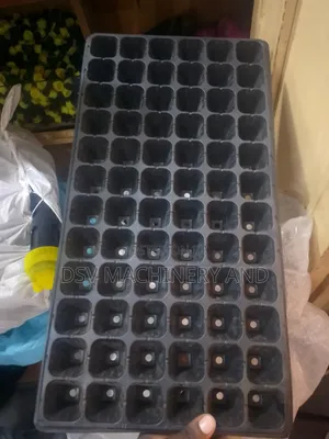 Seed Trays All Sizes