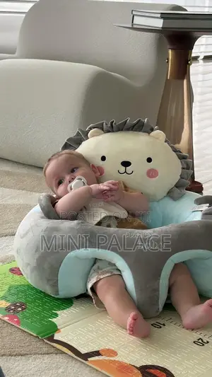 Baby Seat Trainer