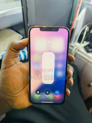 Apple iPhone 12 Pro Max 256 GB Gold