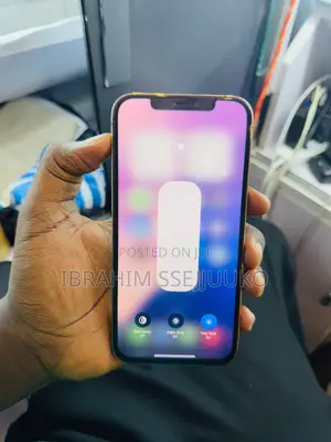 Apple iPhone 12 Pro Max 256 GB Gold