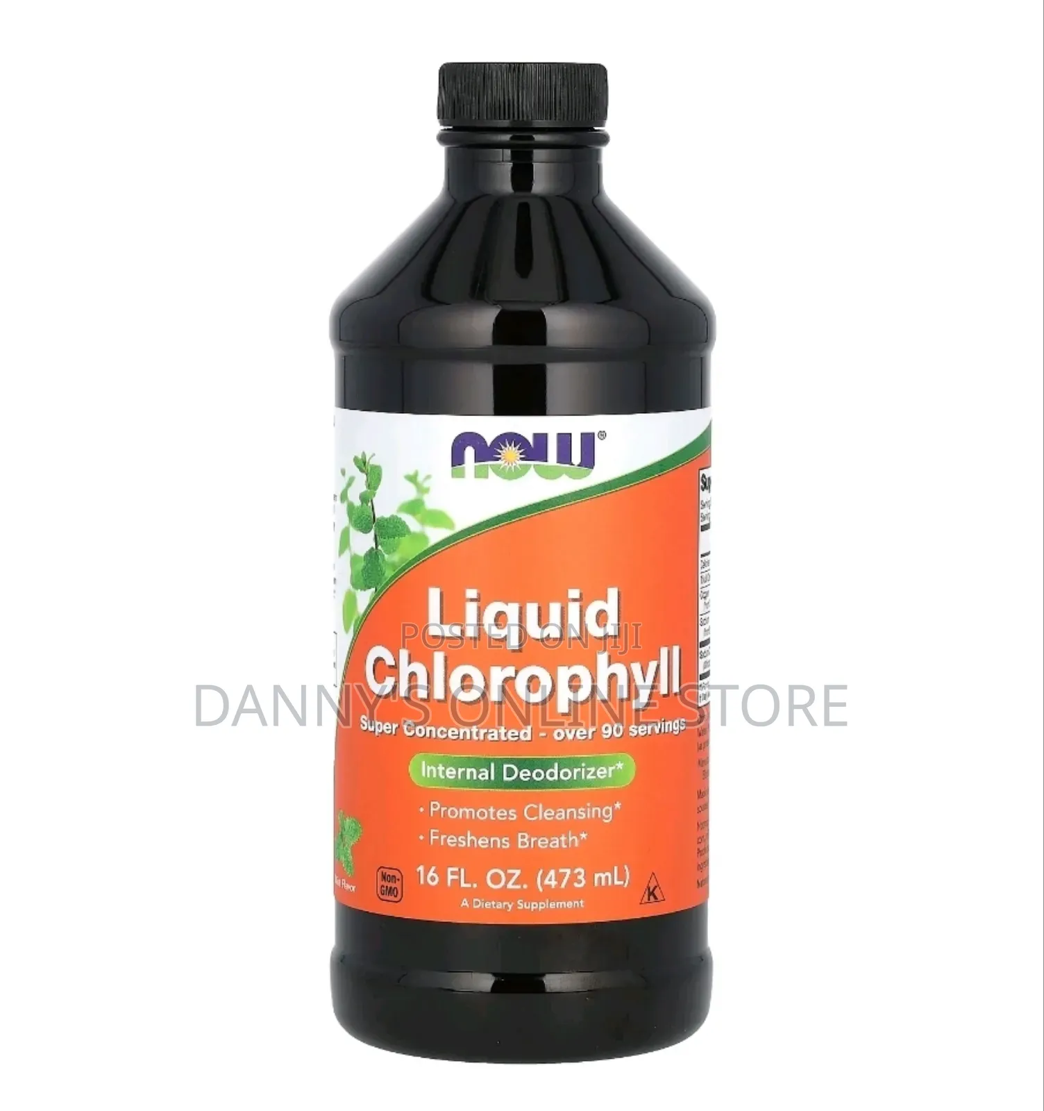 Liquid Chlorophyll, Mint Flavor, 16 Oz
