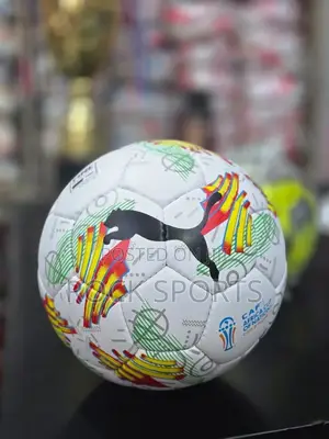 Puma Football (Leather)