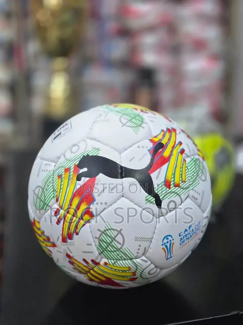 Puma Football (Leather)