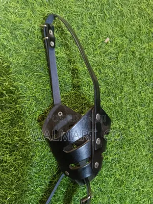 Photo - High Quality Dog Muzzle