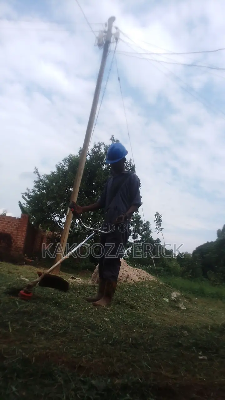 Lawn Care( Grass And Hedges Trimmings)