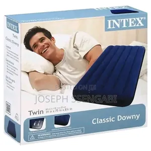 Photo - Intex Twin Air Sofa Mattress Lounge With an Air Blower