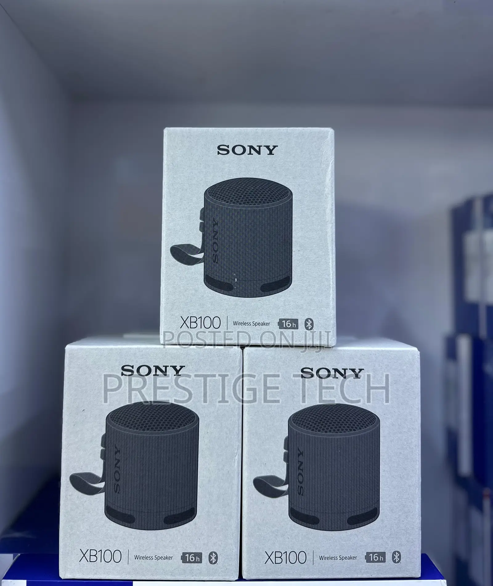 Sony Xb100 Compact Bluetooth Speaker