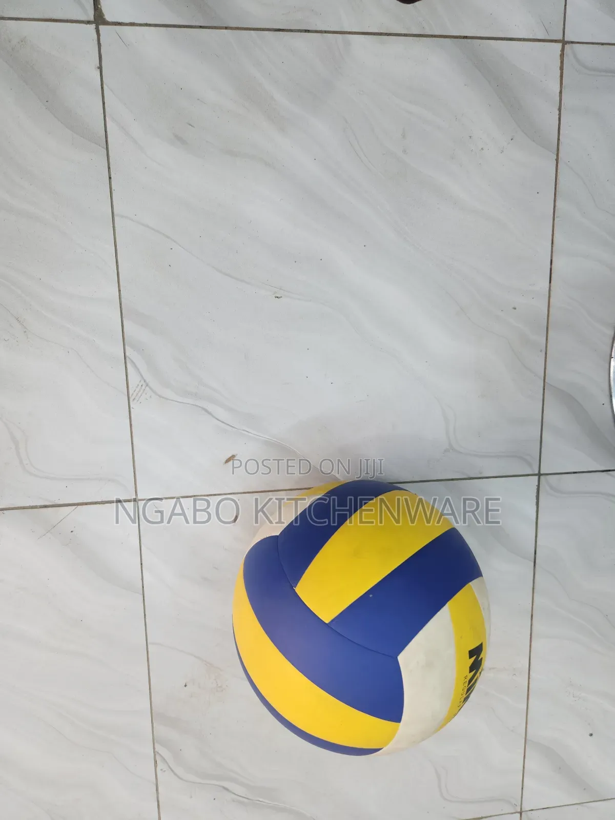 Volleyball Mikasa