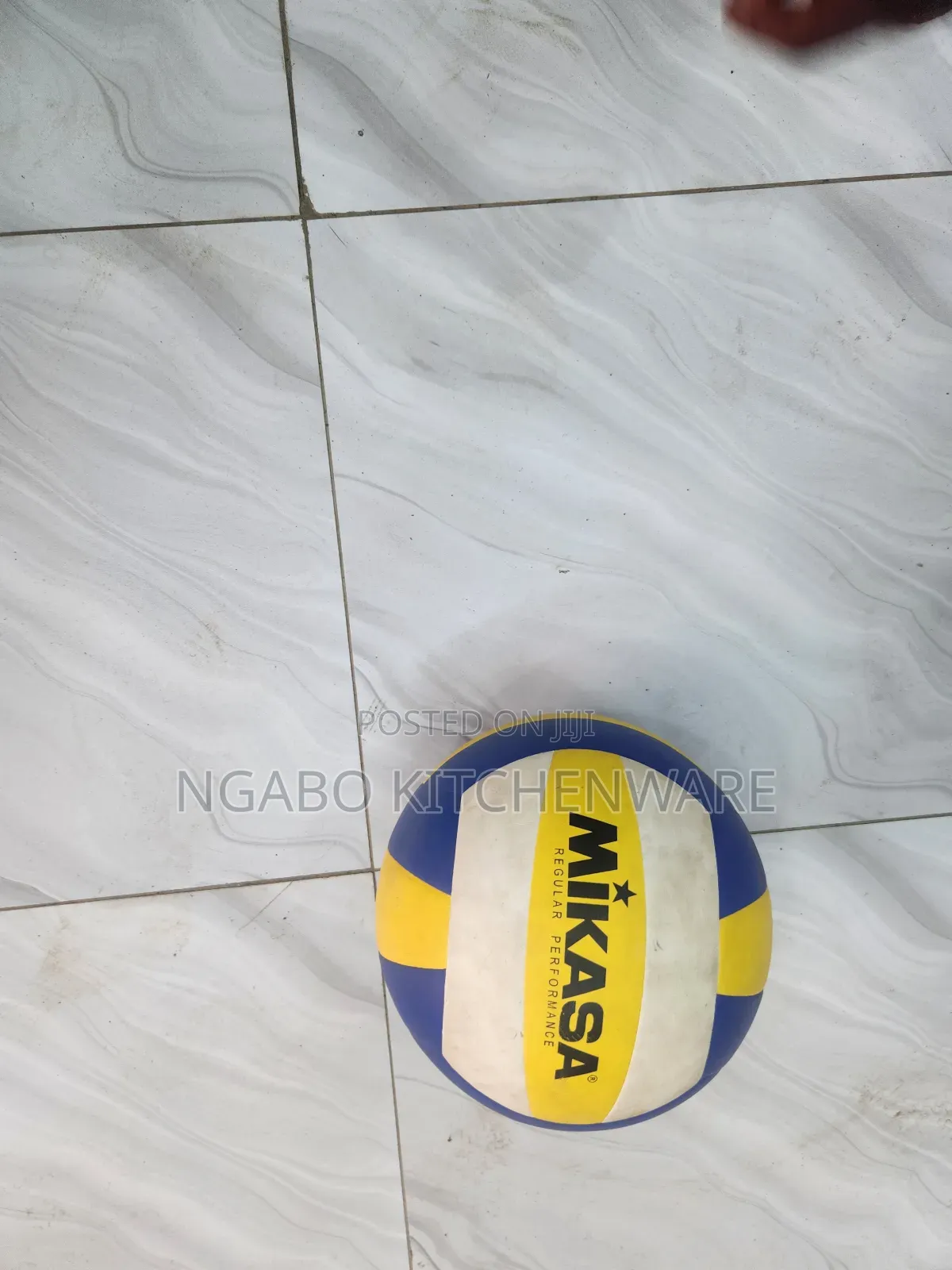 Volleyball Mikasa