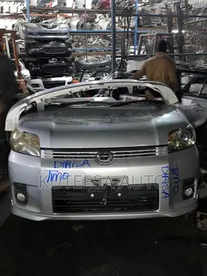 Rumion 2008 Nose Cut
