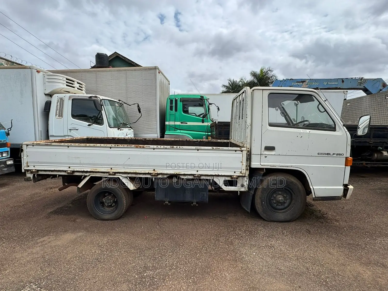 Isuzu - Elf (Flat Body / 2.8l / Mt / 2t)