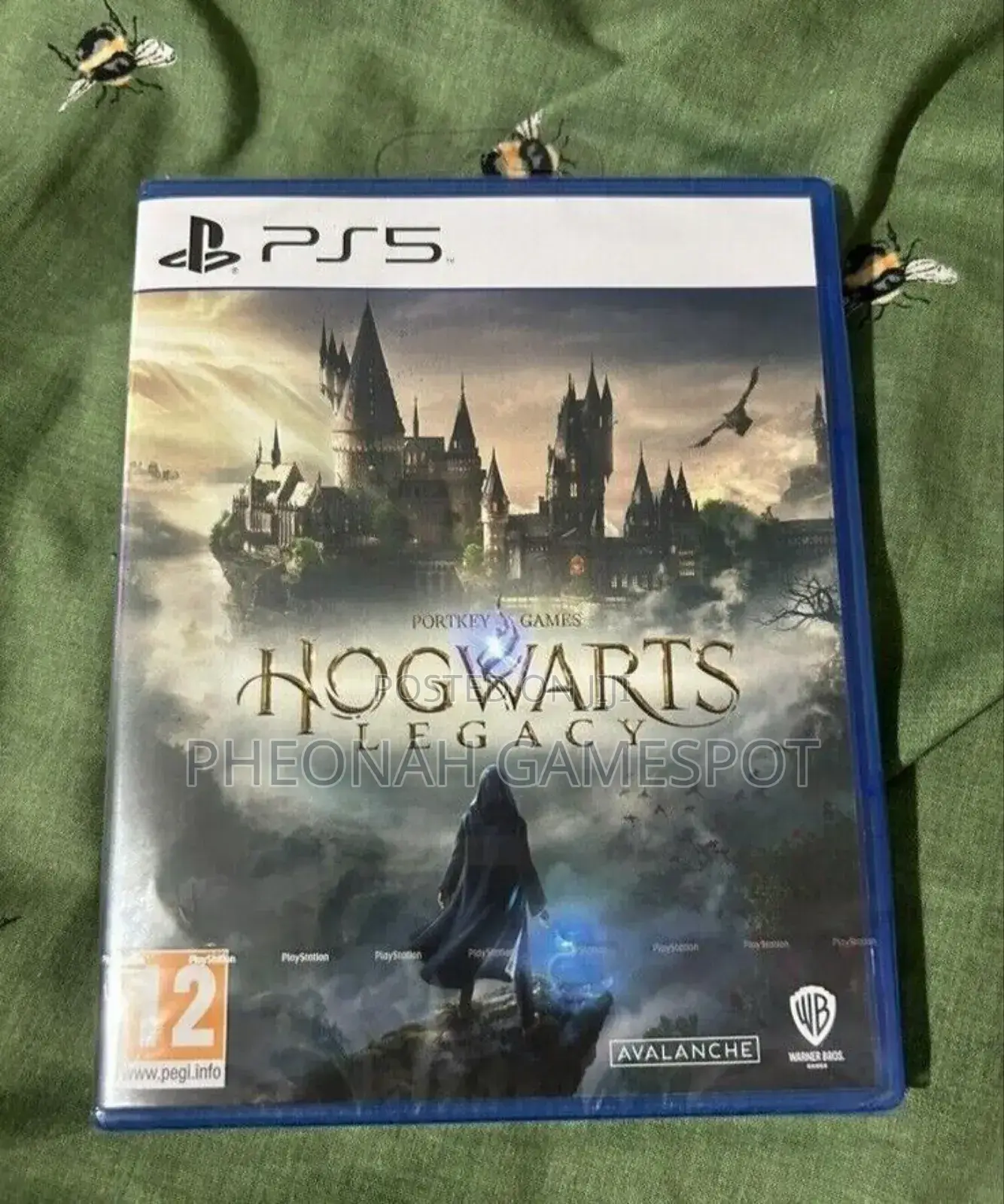 Hogwarts Legacy Game Cd For Ps5
