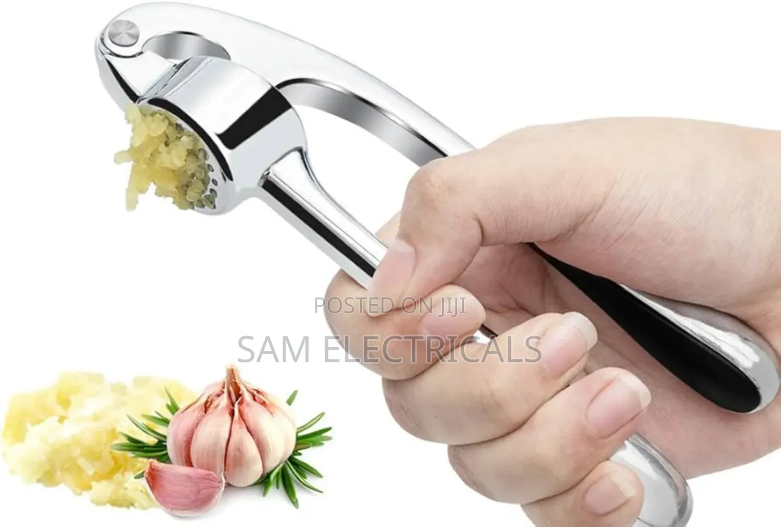 Stainless Steel Garlic Press