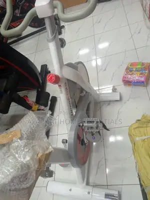 Exercise Spin Bike