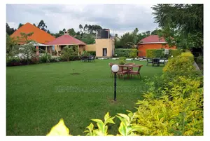 Cottages and Decorations