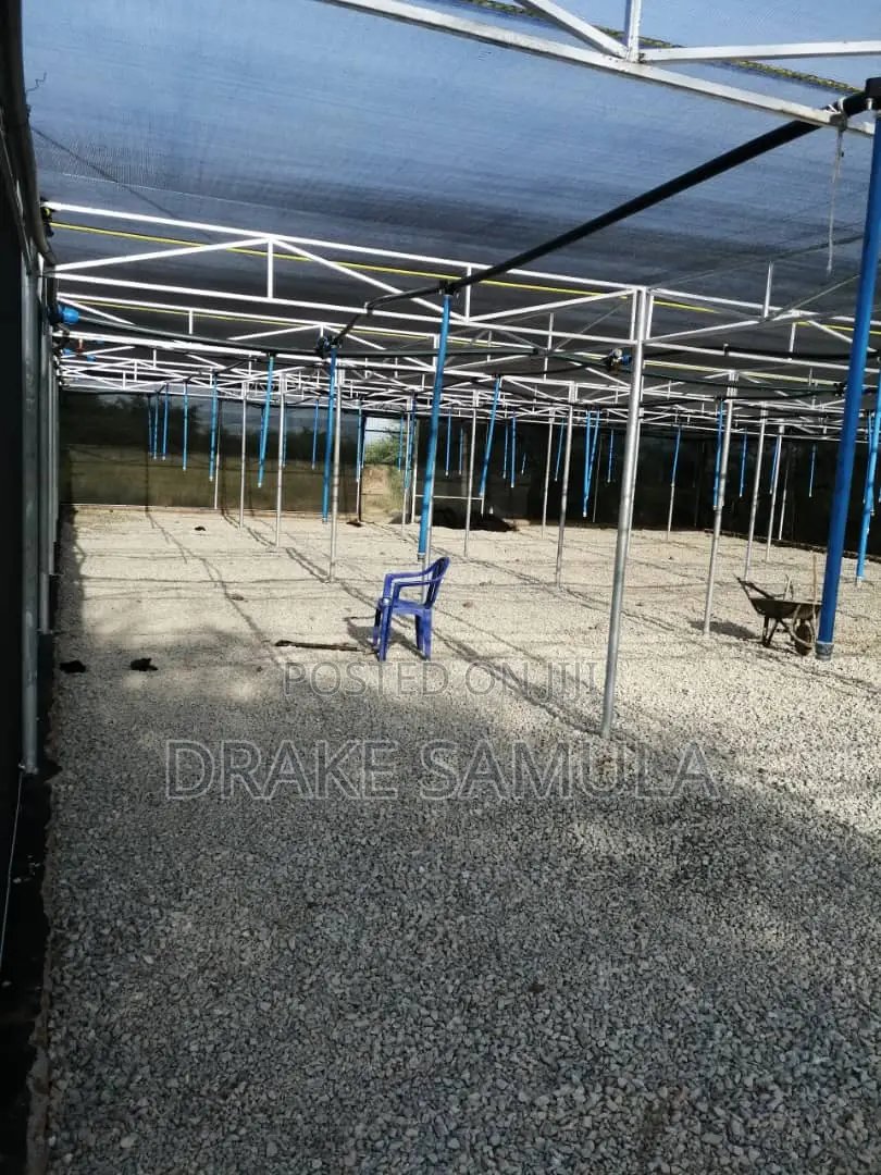 Greenhouse and Solar Drier Installation Works