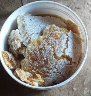 Photo - Comb Honey