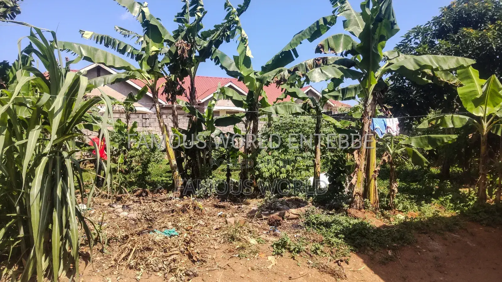 Furnished 1bdrm House in Famous World, Katabi for sale