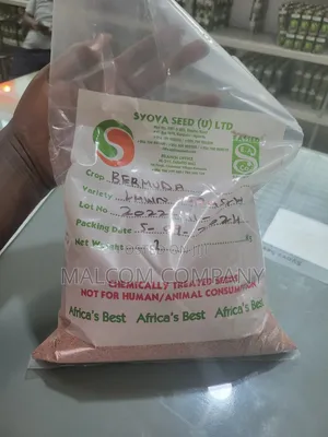 Pasture Seeds Bamuda 1kg in Uganda