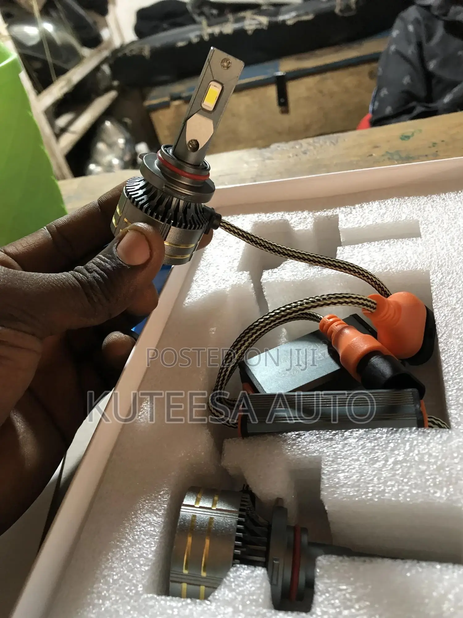 Hazrati Led Sport Lights Bulbs