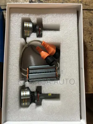 Hazrati Led Sport Lights Bulbs