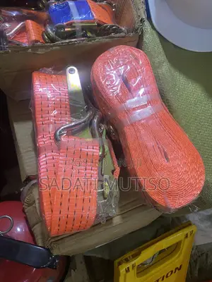 Cargo Belts /Rachet Cargo Belts
