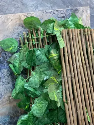 Wall Plants Each