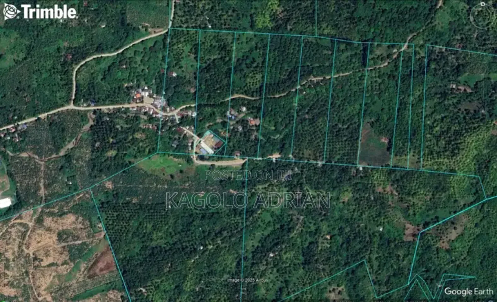 Land Surveyor