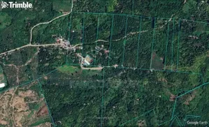 Land Surveyor