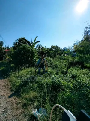 Land Surveyor