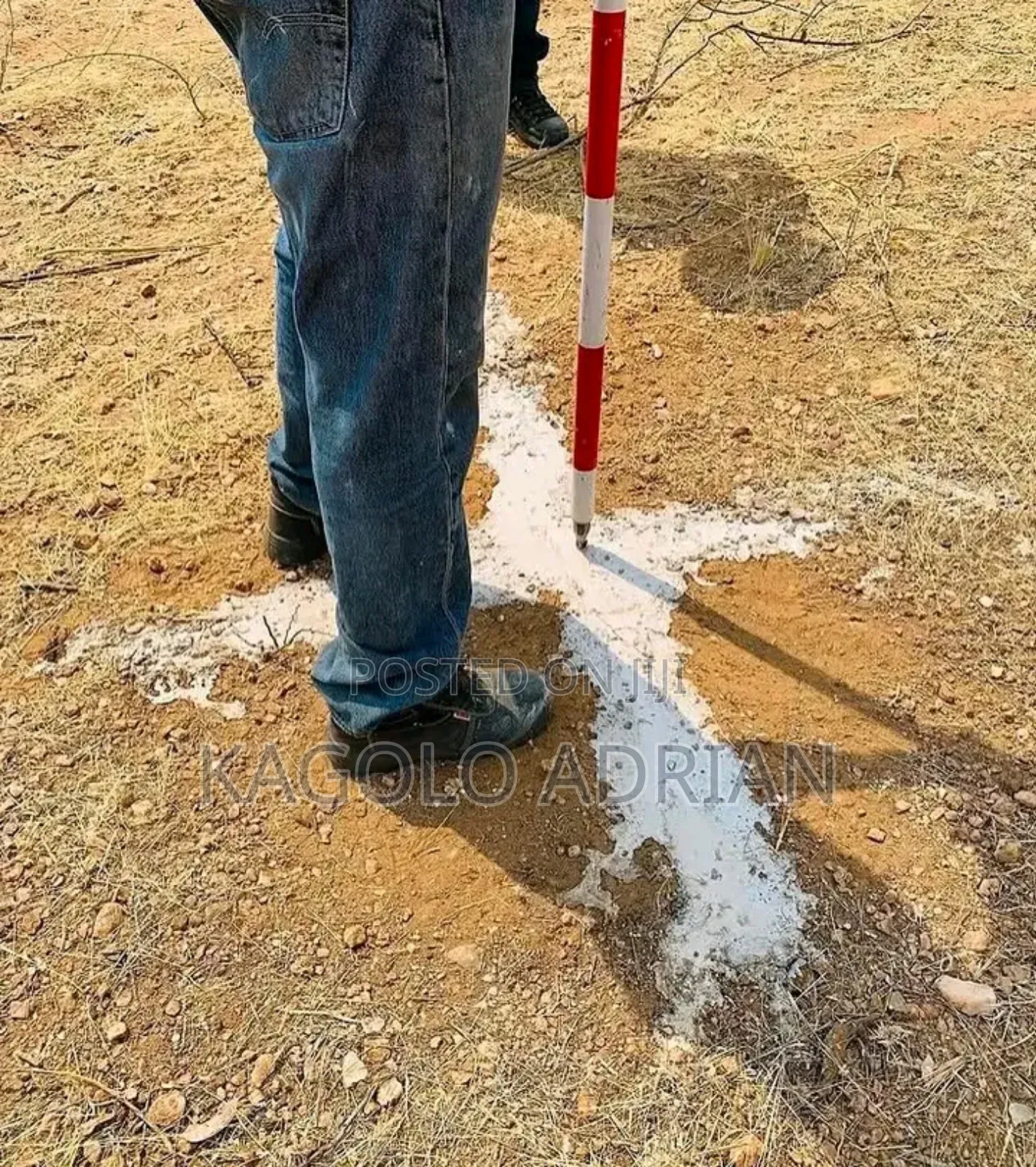 Land Surveyor