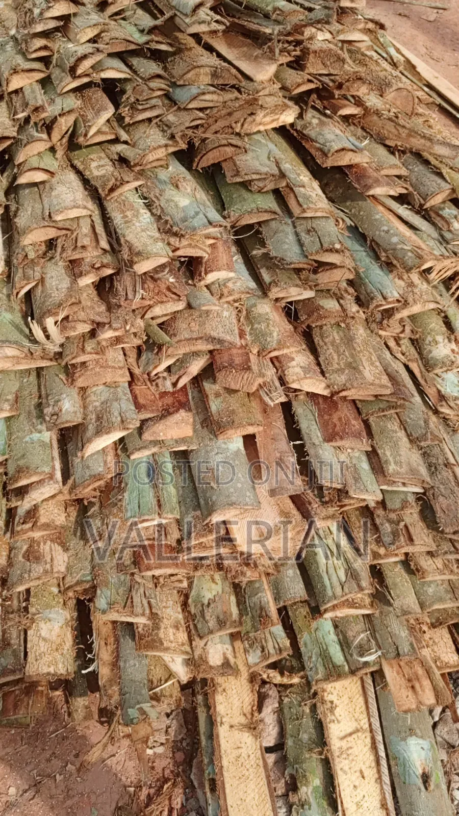 Firewood for Sell