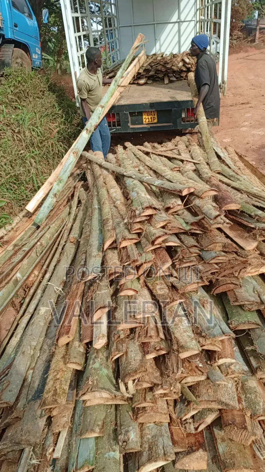 Firewood for Sell