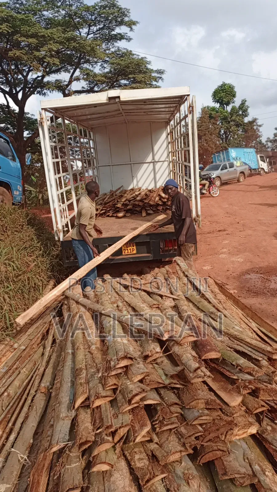 Firewood for Sell