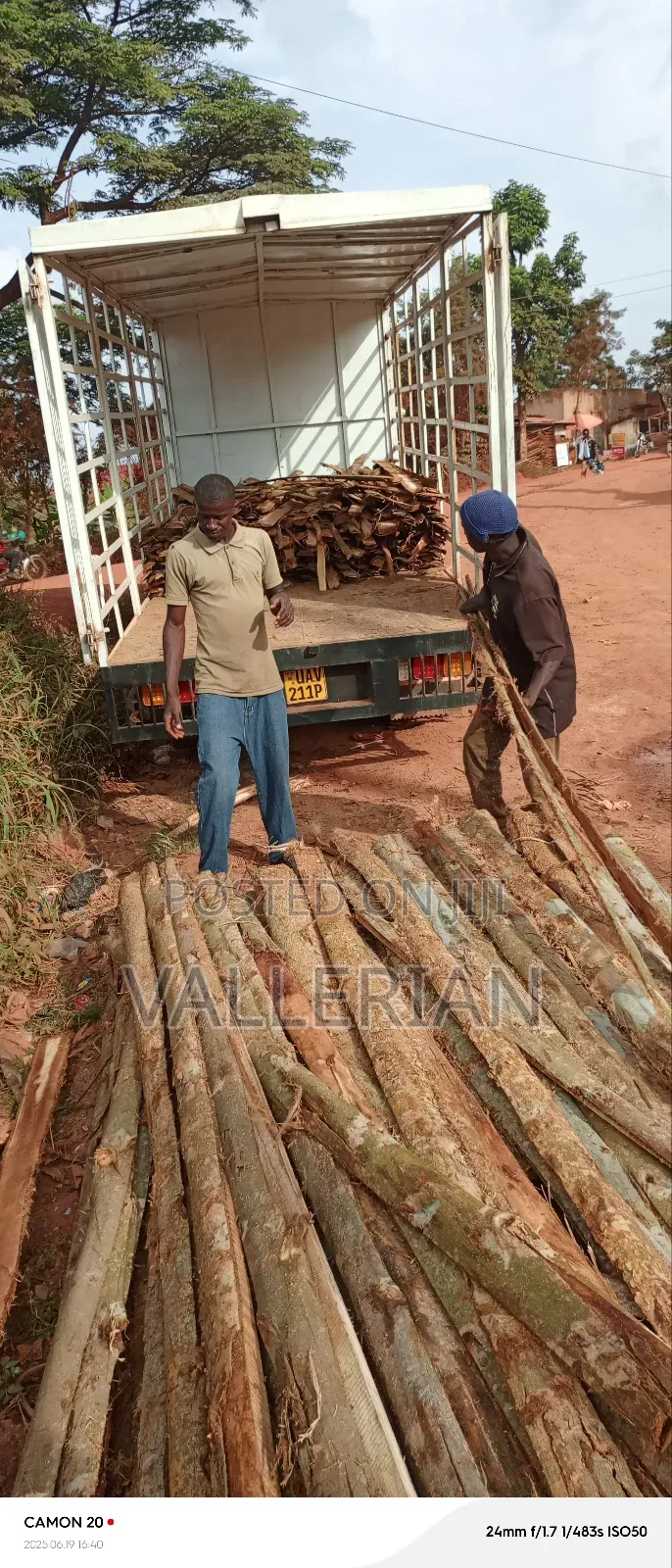 Firewood for Sell