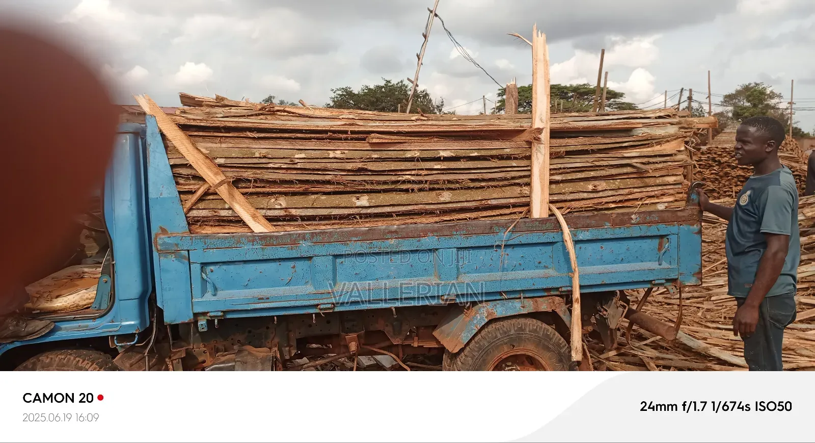 Firewood for Sell
