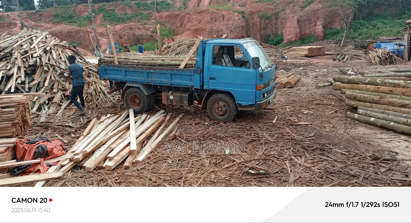 Firewood for Sell