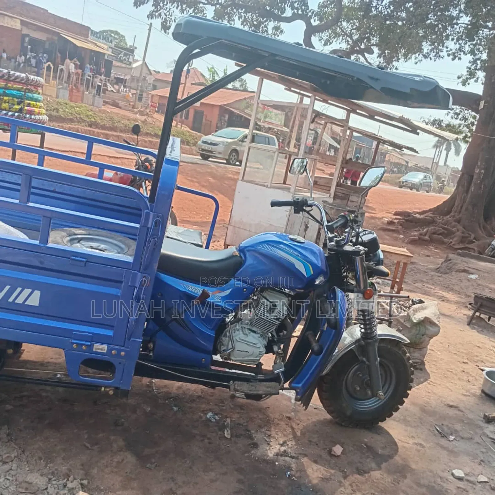 Tricycle 2025 Blue