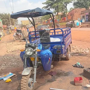 Tricycle 2025 Blue