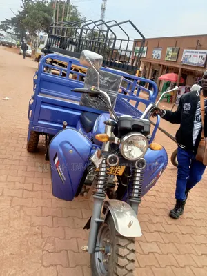 Tricycle 2024 Blue