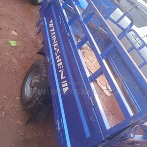 Tricycle 2024 Blue
