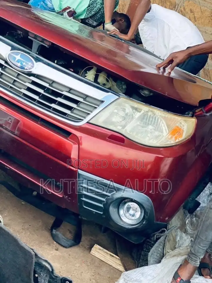 Subaru Forester 2010 Nose Cut