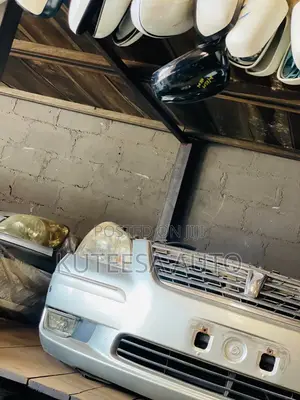 Premio X 2002-2004 Nose Cut